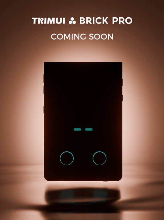 TRIMUI Brick Pro Coming Soon
