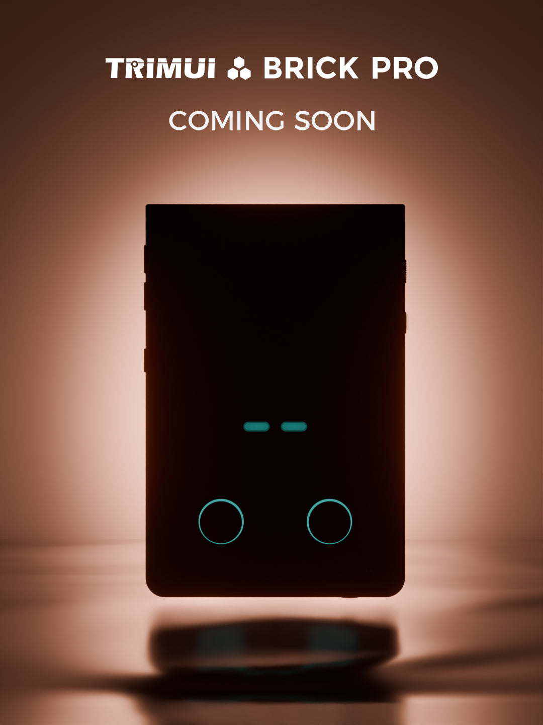 TRIMUI Brick Pro handheld game console cover image